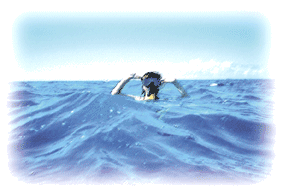 b0054283_1394684.gif