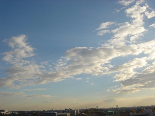 b0015885_22492360.jpg