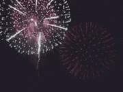 b0101991_1093415.gif