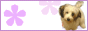 f0082396_2020476.gif