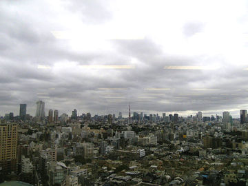 a0000002_17563456.jpg