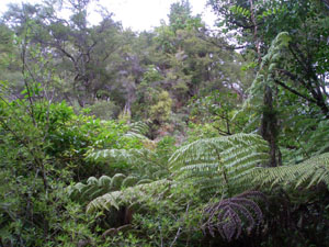 b0040606_17151782.jpg