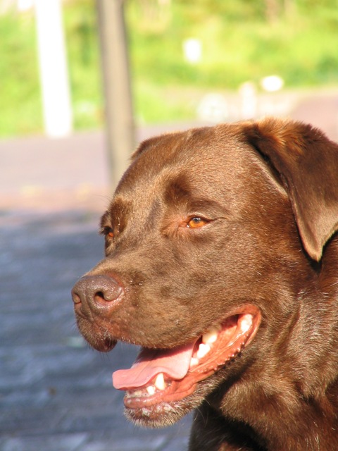 d0081210_061594.jpg