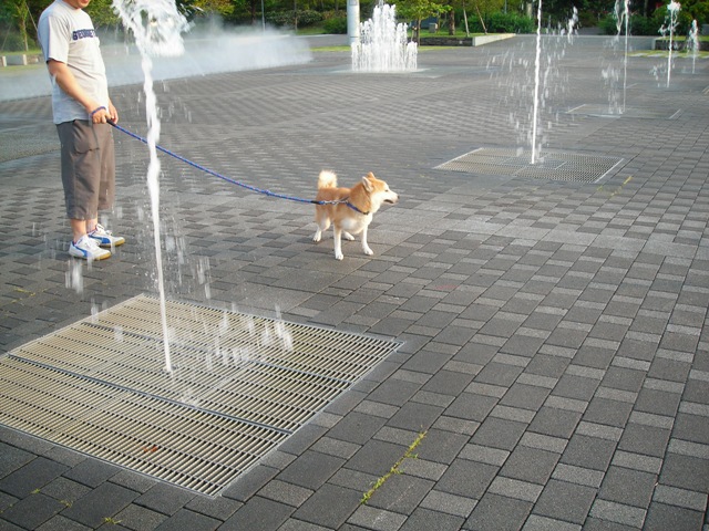 b0080342_1444265.jpg