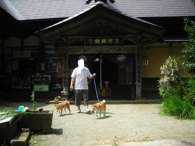 b0080342_8202511.jpg