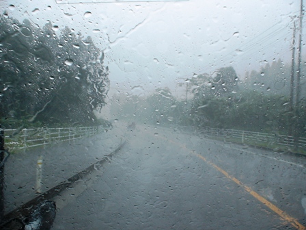 b0080342_8352367.jpg