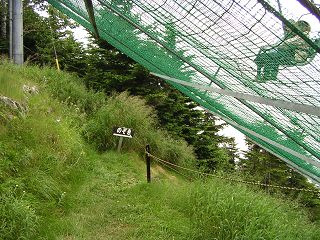 横手山_a0023246_14593059.jpg