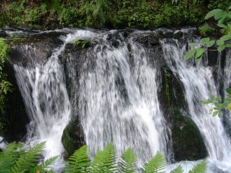 c0072847_181337100.jpg
