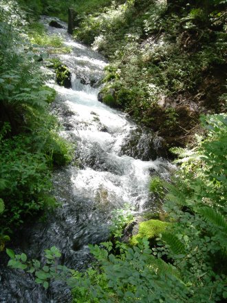 c0072847_186341.jpg
