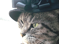 d0000247_1532165.gif