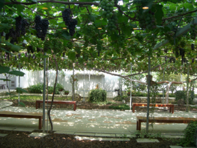 f0108553_8251062.jpg