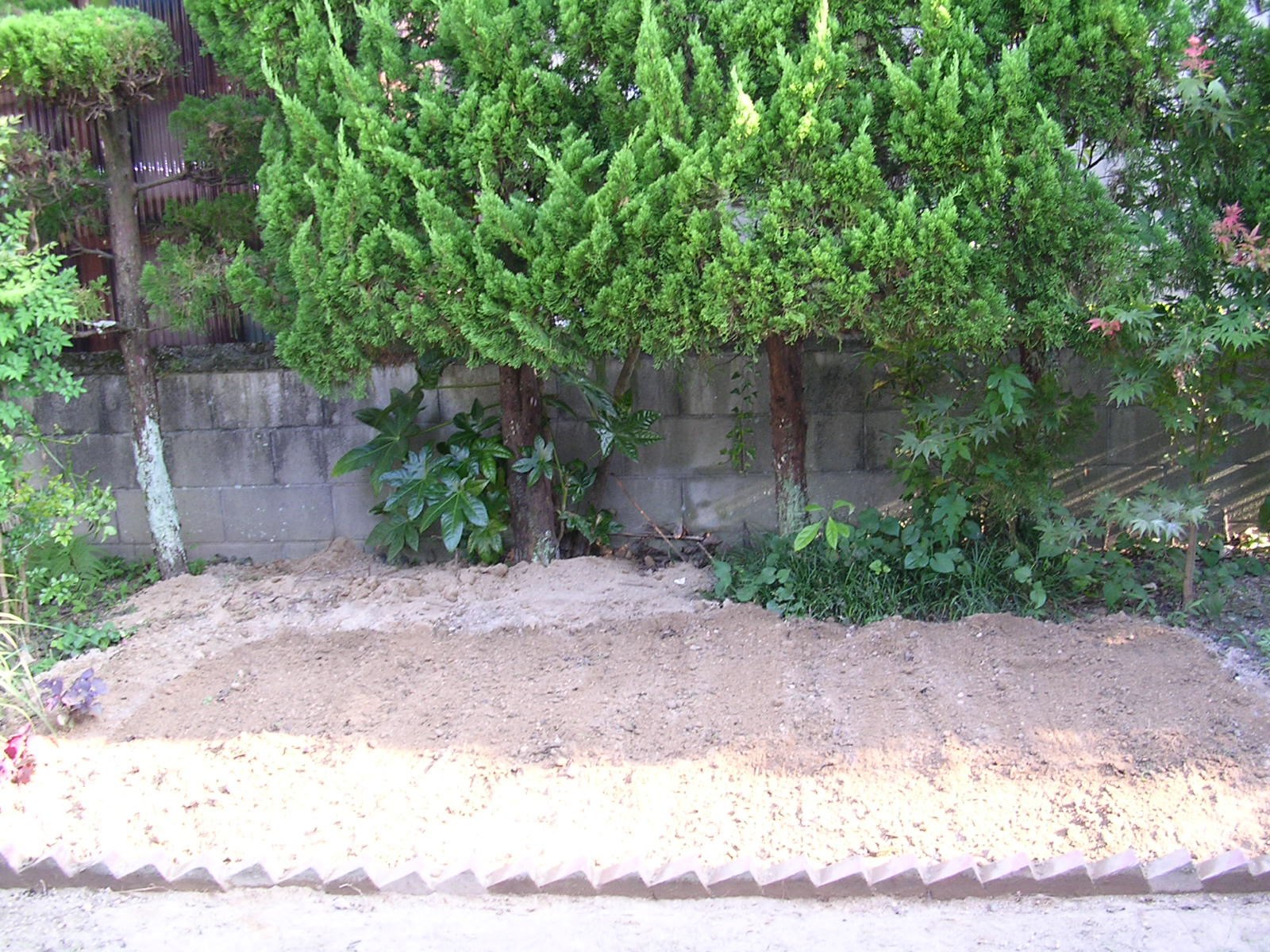 a0063856_19473699.jpg