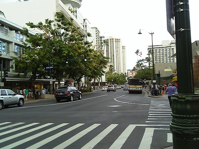 a0050593_101048.jpg