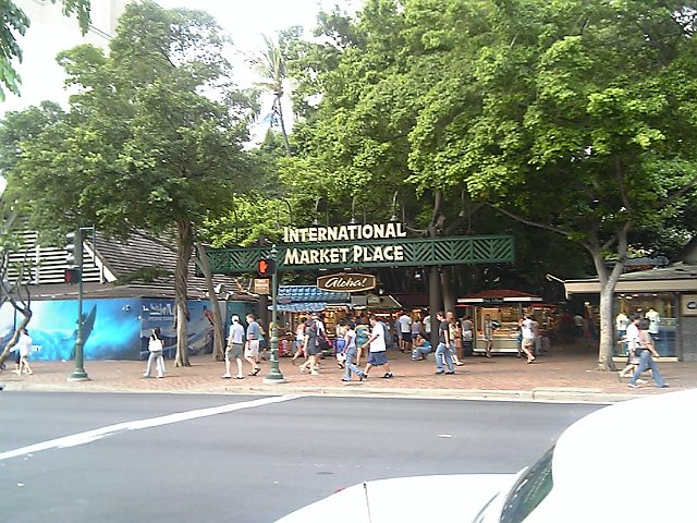 a0050593_1105669.jpg