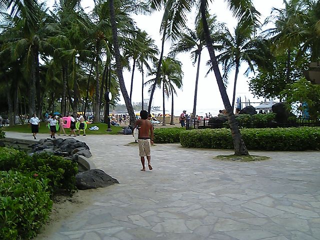 a0050593_11216.jpg