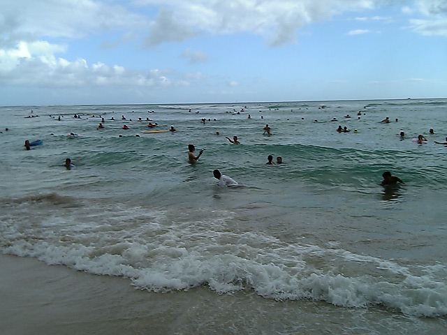 a0050593_135688.jpg