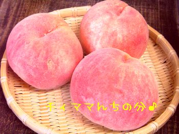 a0054504_12153595.jpg