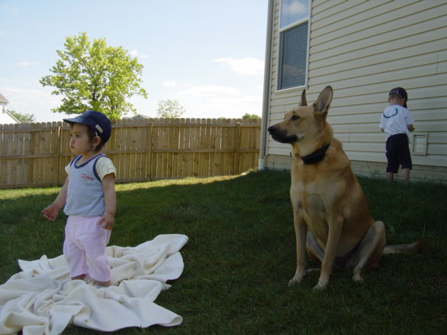 c0079011_19492033.jpg