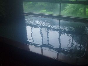 老神温泉東明館 自家源泉硫黄泉 ~群馬沼田市~_c0055515_23382774.jpg