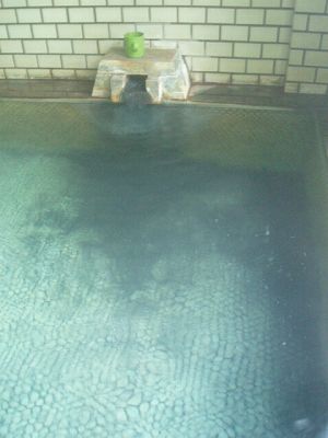 老神温泉東明館 自家源泉硫黄泉 ~群馬沼田市~_c0055515_2339291.jpg