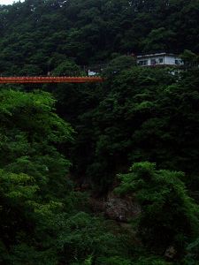 老神温泉東明館 自家源泉硫黄泉 ~群馬沼田市~_c0055515_23393549.jpg