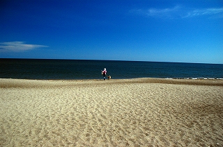 c0088418_14191426.jpg