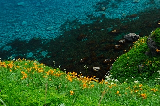 c0088418_20345742.jpg