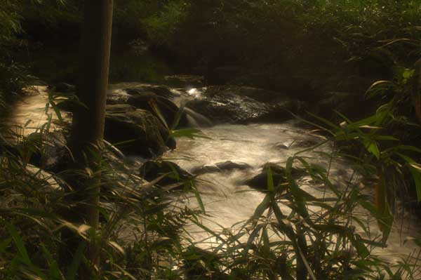 a0059621_17917.jpg