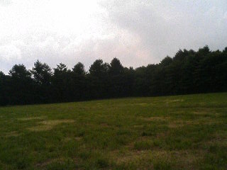 b0102023_21582054.jpg