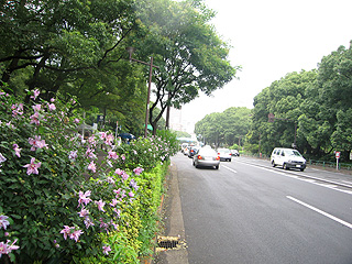 e0089826_2215524.jpg