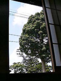 f0098637_18484625.jpg