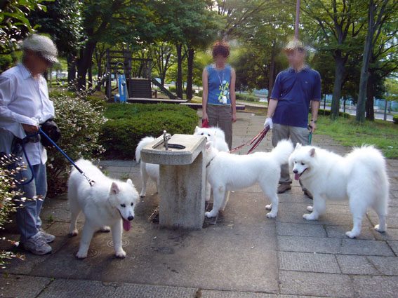 c0035838_02436.jpg
