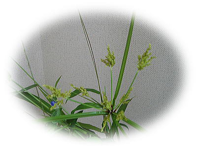 c0076141_1217977.jpg