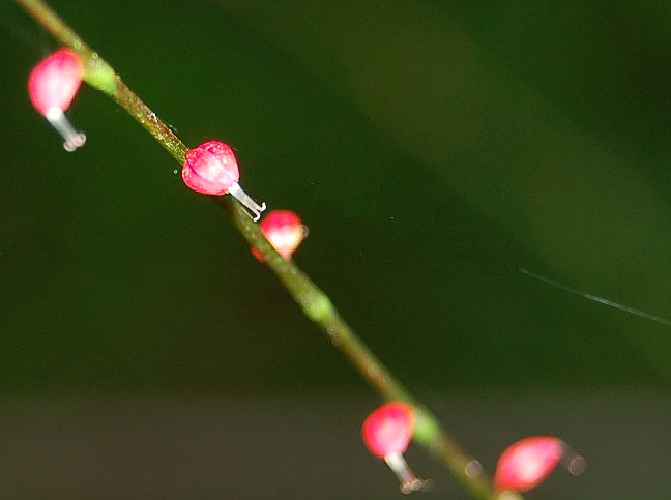 b0017645_035879.jpg