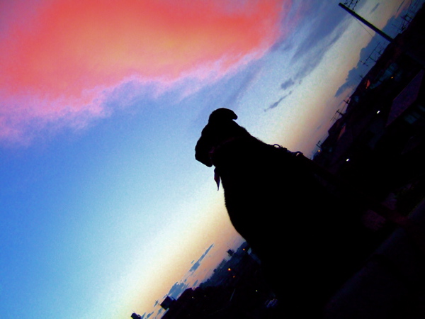c0039145_21473097.jpg