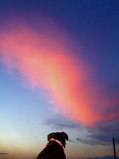c0039145_227059.jpg