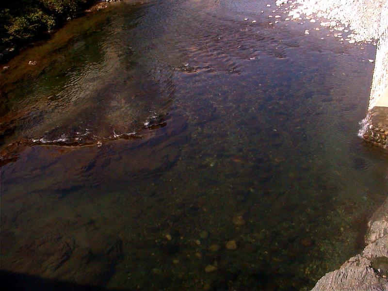 a0055650_1245964.jpg