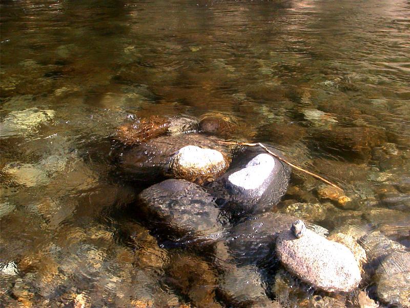 a0055650_129915.jpg