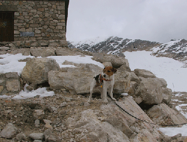 f0077150_331235.gif