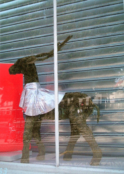 d0085274_1224037.gif