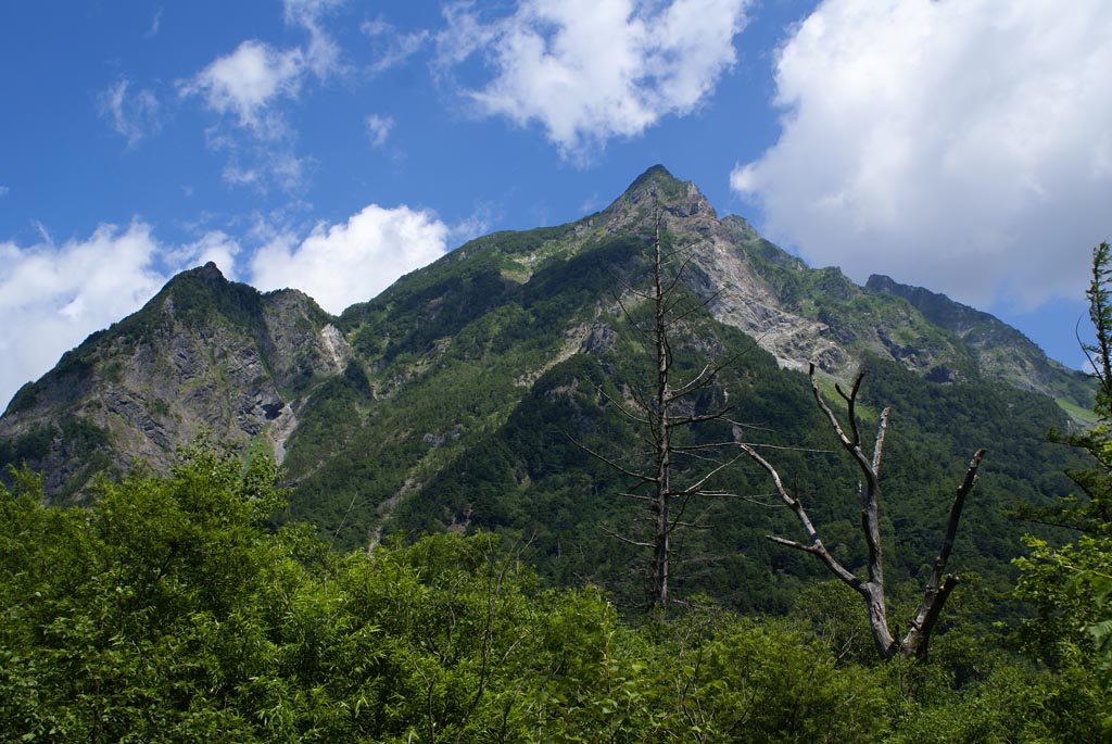 e0071178_7475733.jpg