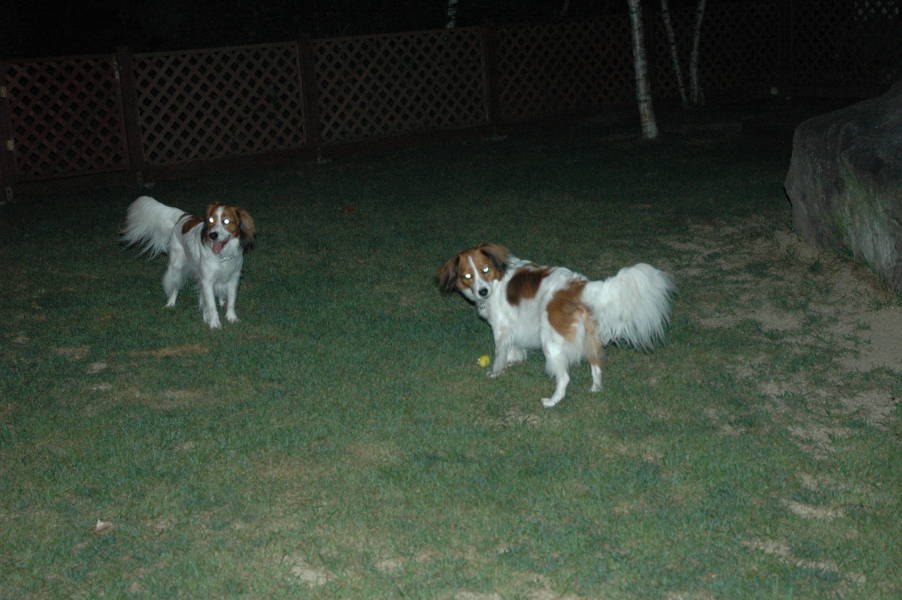 c0075585_1353980.jpg