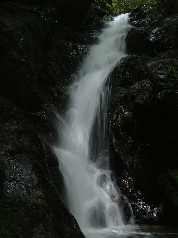 a0042211_23221340.jpg