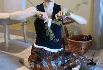 a0082019_1385173.gif