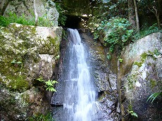 夏の三滝寺_f0056250_21443859.jpg