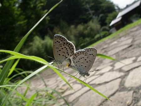 二人一緒♪_a0001562_222277.jpg