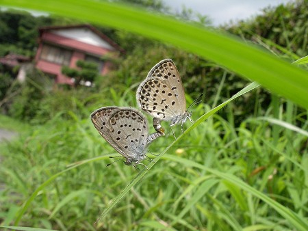 二人一緒♪_a0001562_2234061.jpg