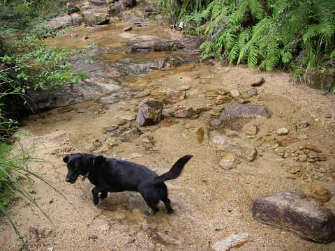 c0002874_21295219.jpg