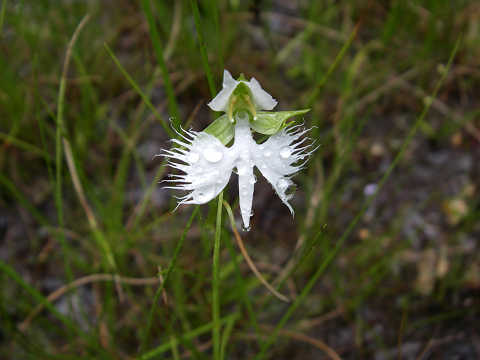 c0002874_21302611.jpg