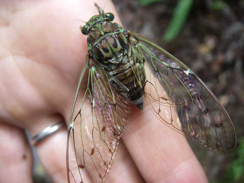 c0002874_21315478.jpg